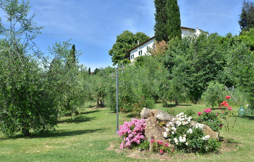 Villa Buonaparte San Miniato Oda fotoğraf